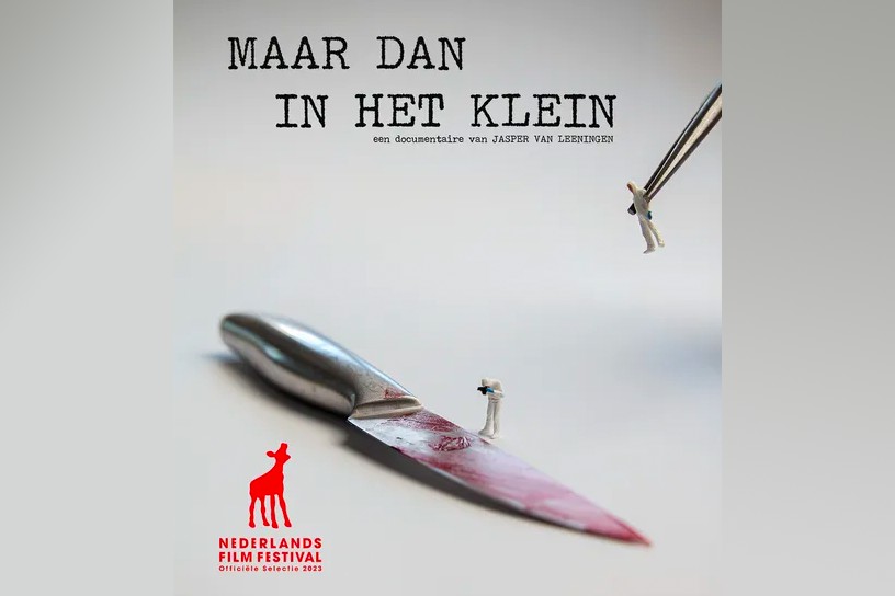 Maar dan in het klein | JPGeersing